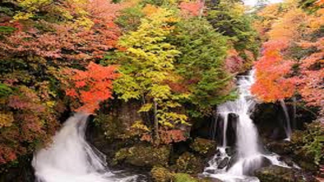 Hotel Natural Garden Nikko Exteriér fotografie